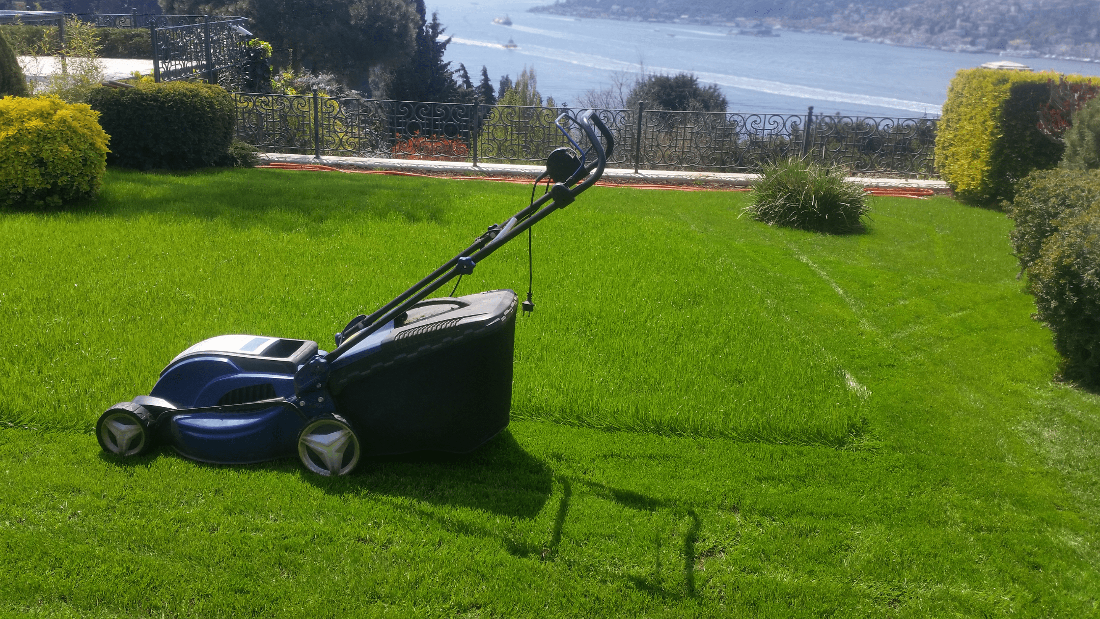 Best quiet and silent lawn mover