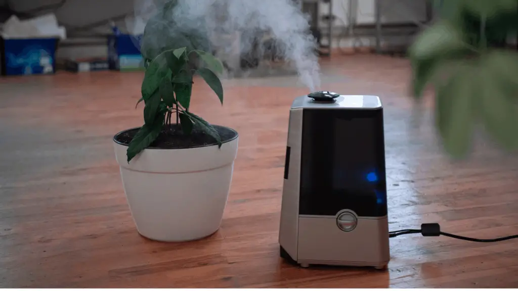 Best Quiet Air Purifier: With HEPA & Medical Filtration