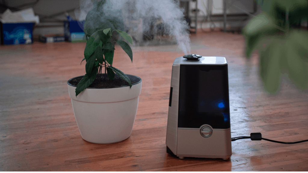 7 Best Quiet Air Purifier: With HEPA, Medical, And Carbon Filtration.