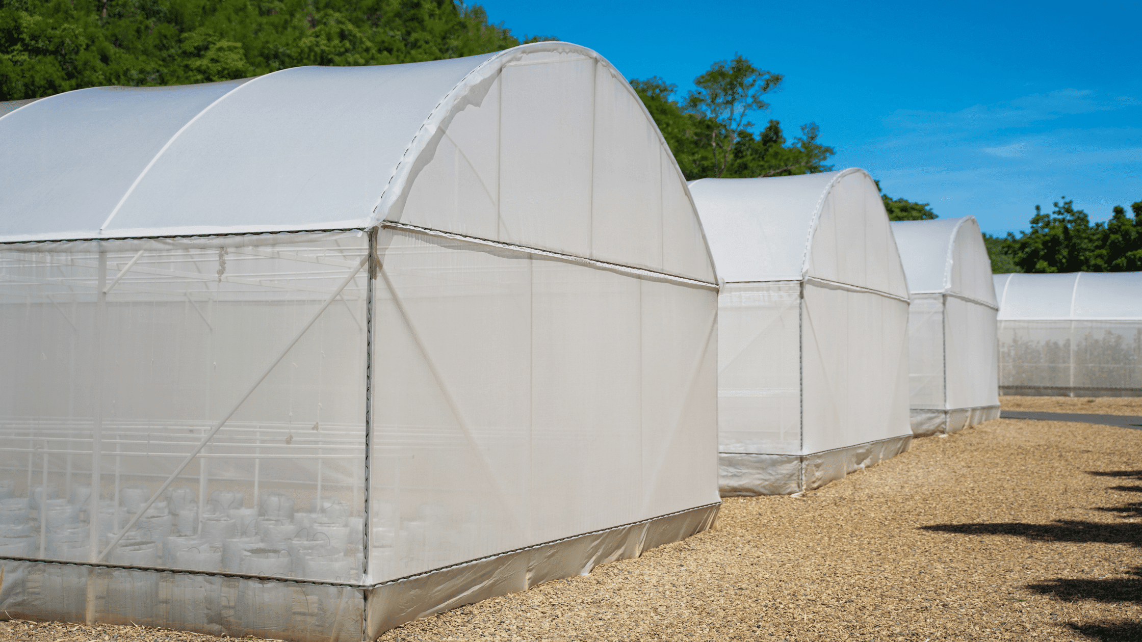 Soundproof Grow Tent