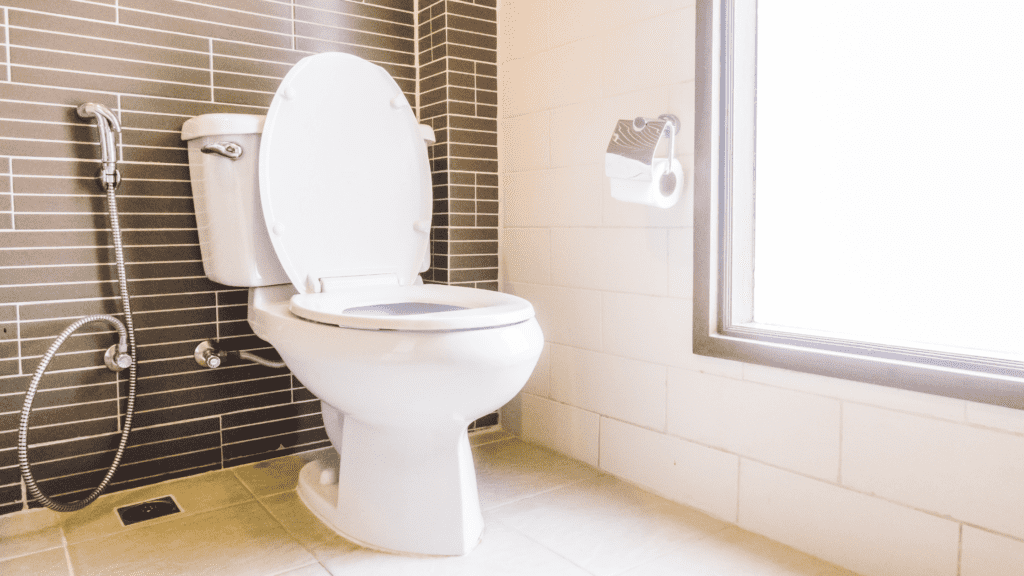 How To Soundproof Toilet
