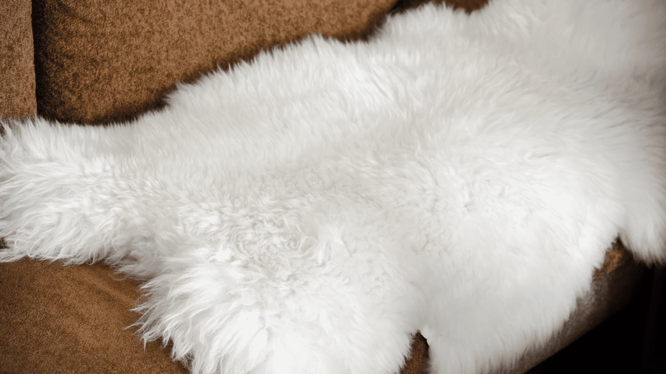 How To Clean Sheepskin Rug