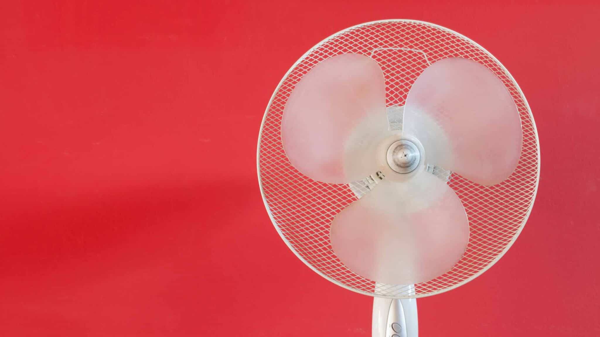 7 Best Quiet Oscillating Fan {Buying Guide} In 2024