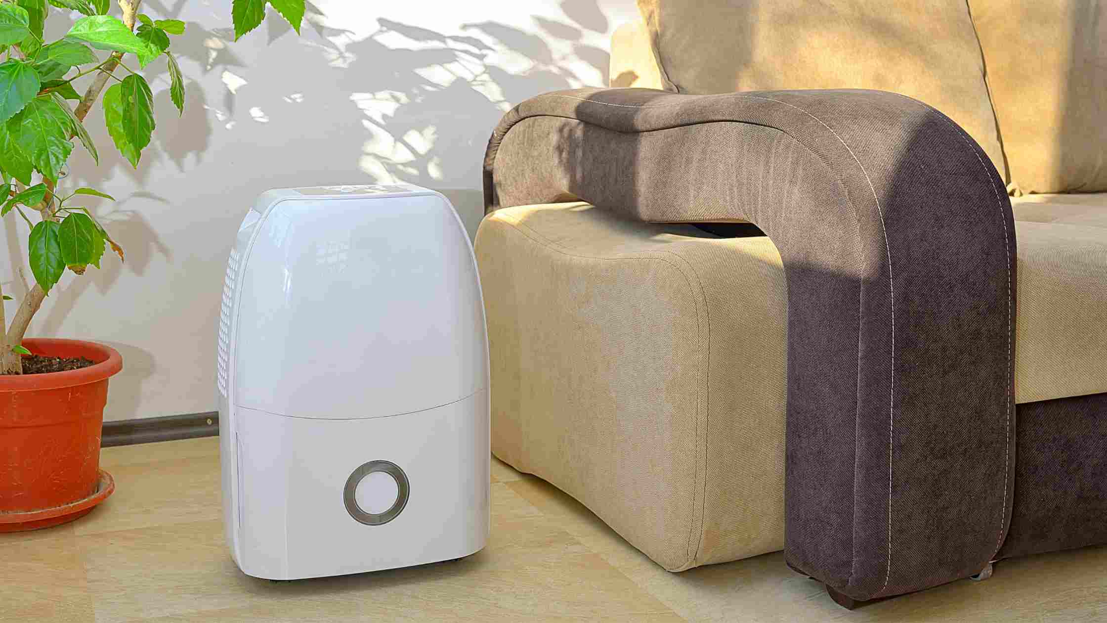 Best Quiet Dehumidifier