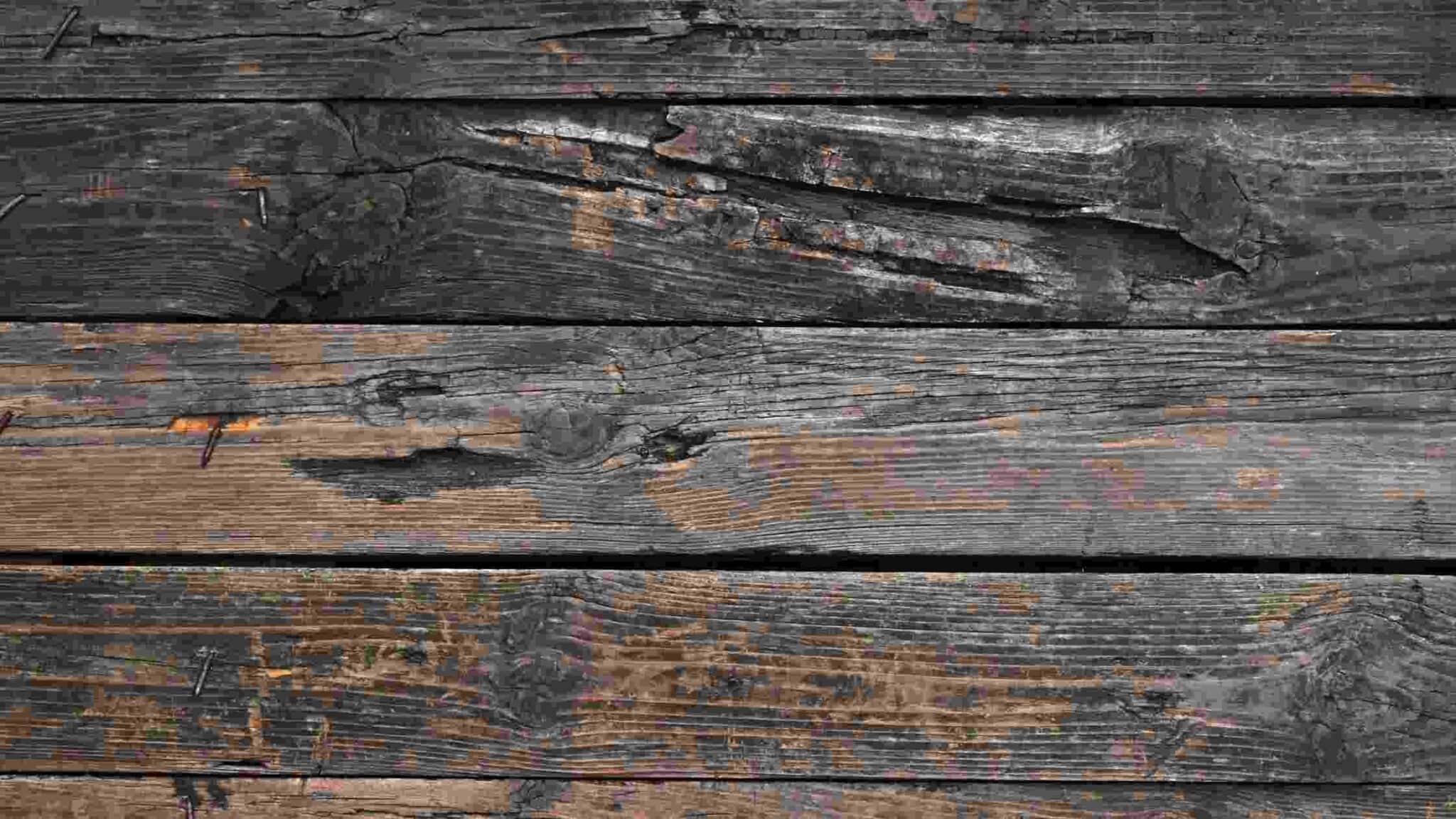 6 Effective Ways To Minimize Whistling Noises Coming Through Windows