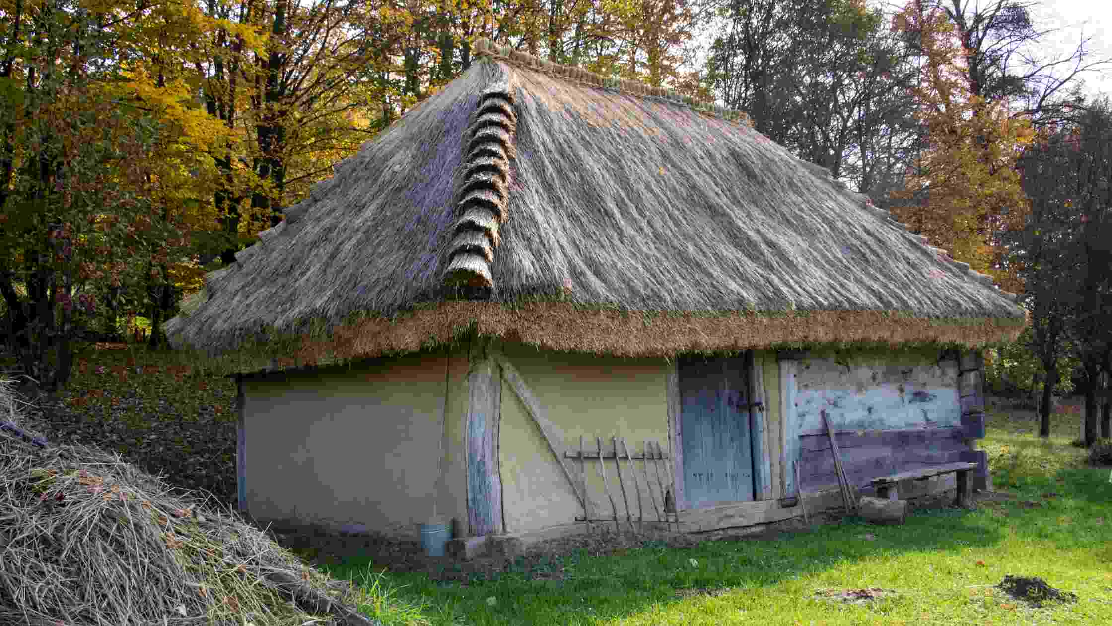 5 Different Ways To Insulate & Soundproof Wooden Shed Cheaply