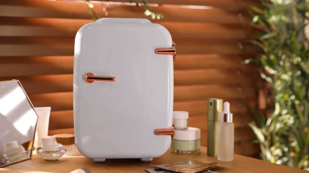 6 Best Quiet Mini Fridge for Bedroom and Car (Portable)