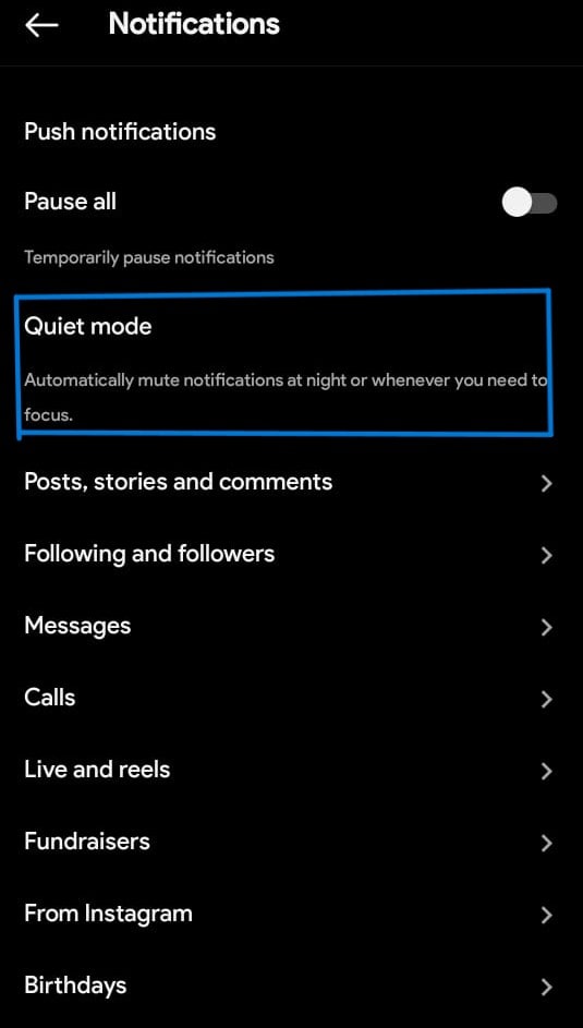 Quiet Mode option is located in the Privacy settings to use quiet mode on instagram