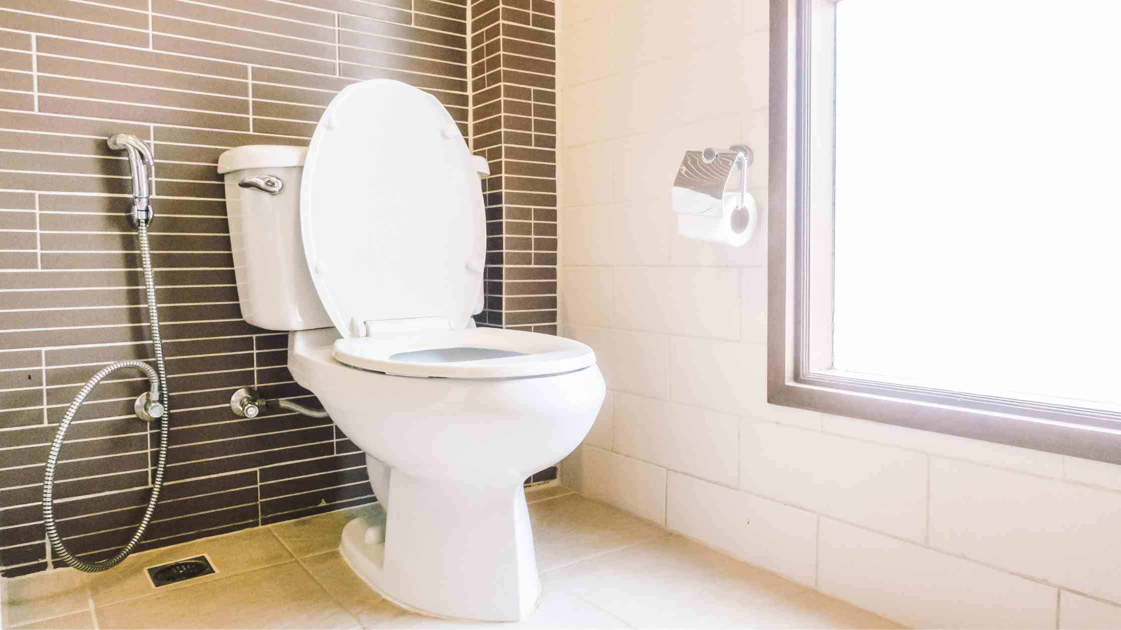 9 Tips On How To Soundproof Toilet or Bathroom From Noise That Actually Works!
